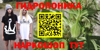 спайс Ярославль