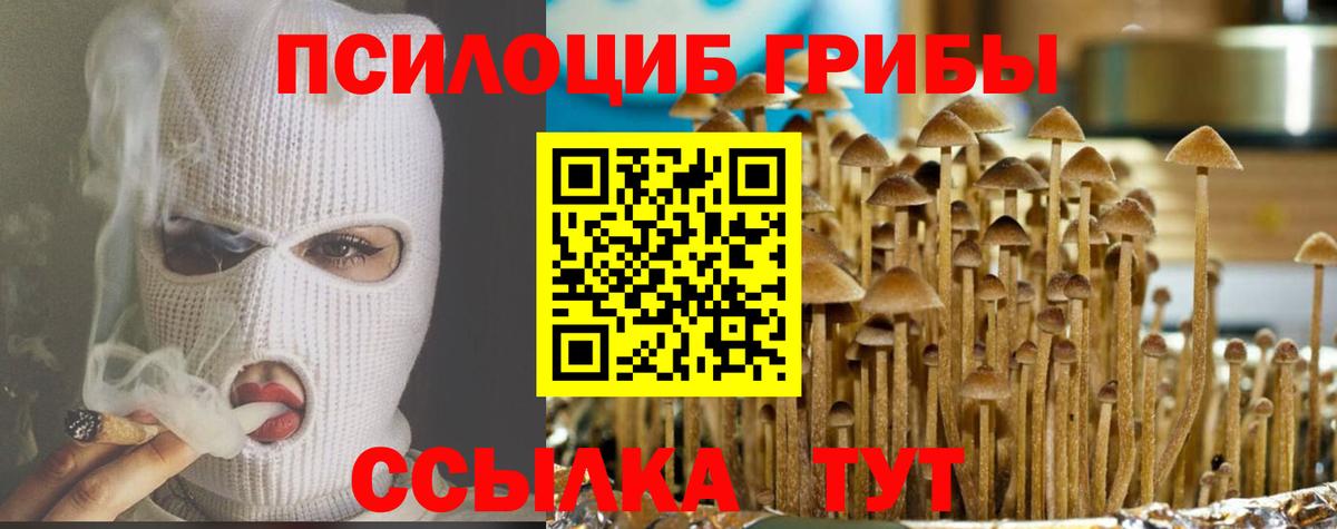 Псилоцибиновые грибы GOLDEN TEACHER Кингисепп